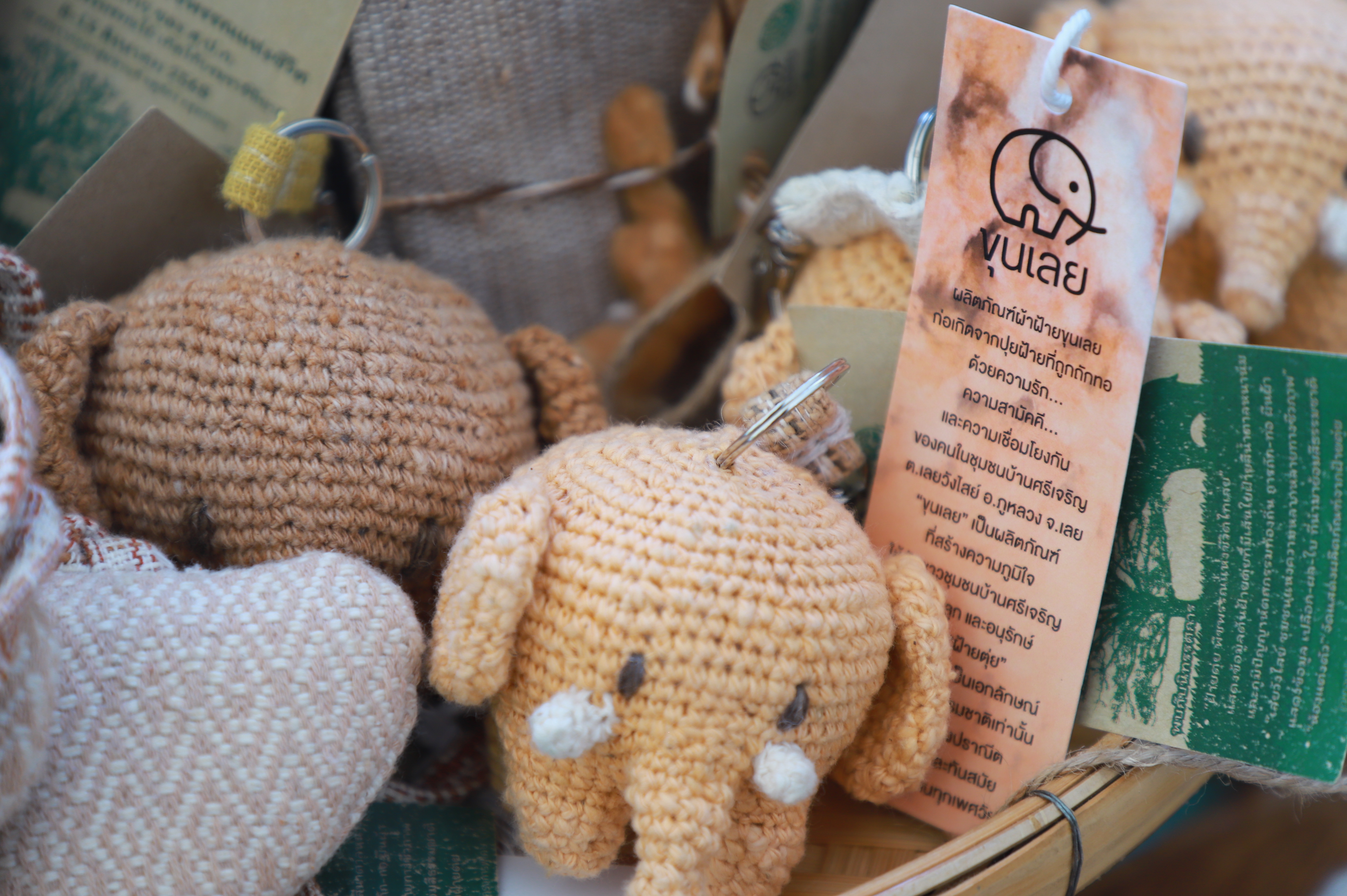 title - รองเลขาฯ ส.ป.ก. ร่วมงานมหกรรม “จากพันธุกรรม สู่ความยั่งยืน” รวมพลังอนุรักษ์ทรัพยากรไทย สร้างความมั่นคงทางอาหารอย่างยั่งยืน และการพึ่งพาตนเองในยามวิกฤต